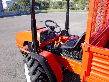 traktor goldoni 33rs